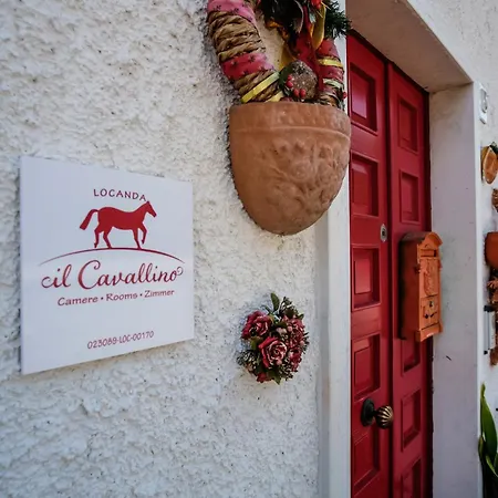 Il Cavallino